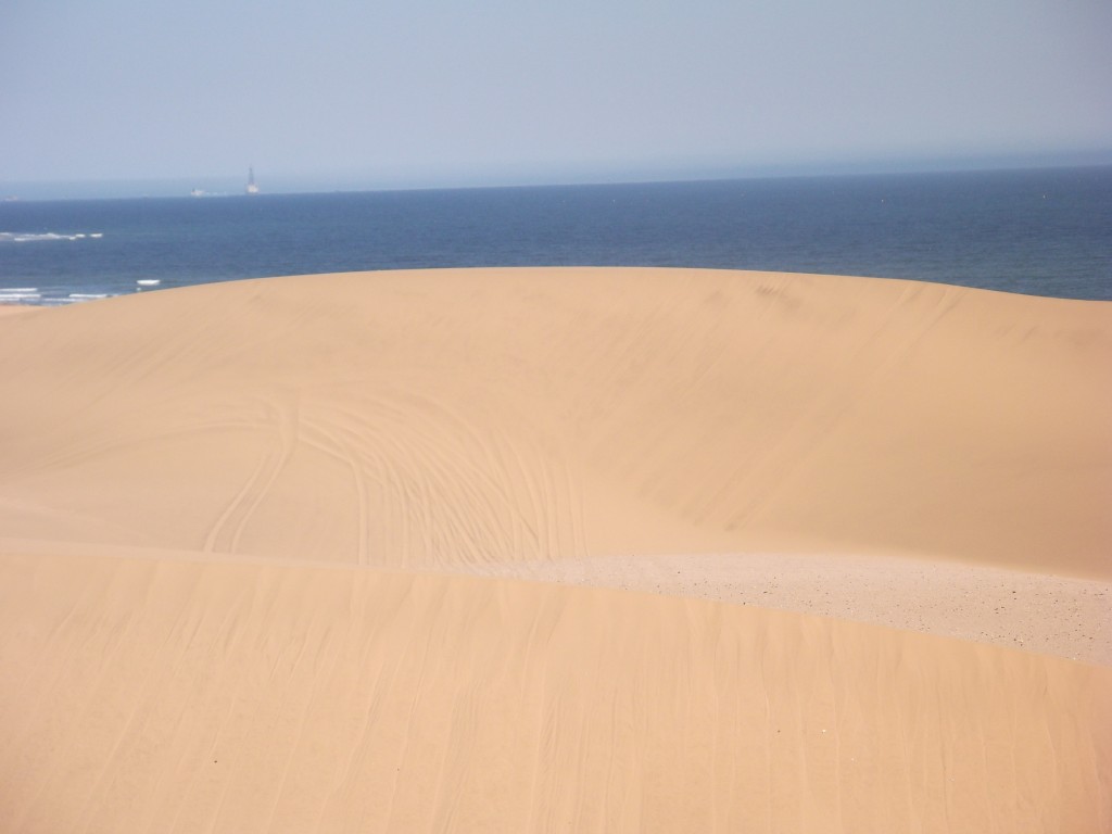The desert meeting the sea