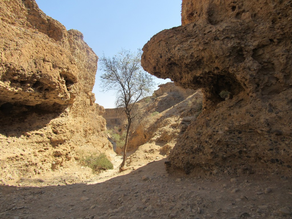 Inside Sesriem Canyon