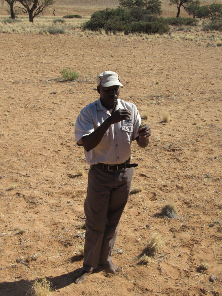 Bushman guide