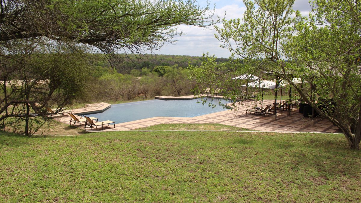 Infinity pool in the bush, Kirkman's Kamp, Sabi Sand private reserve